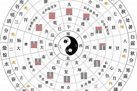 12生肖地支|十二地支类象详解 – 十二地支阴阳五行属性